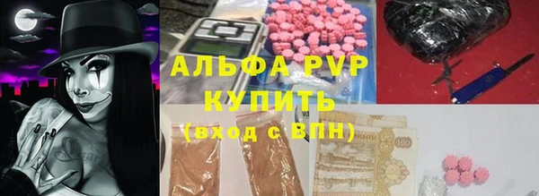 сатива Аркадак