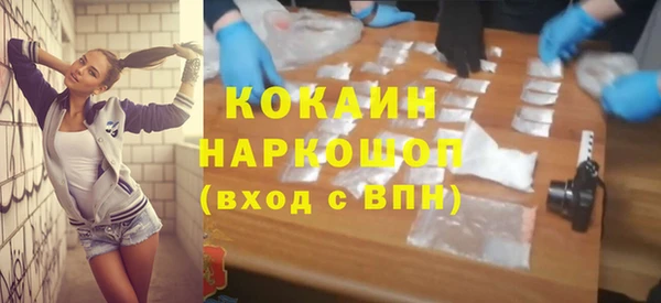 сатива Аркадак