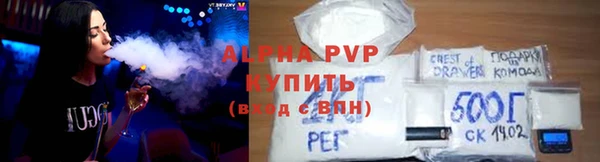 сатива Аркадак