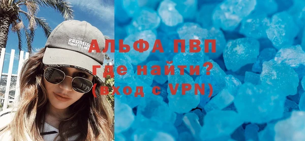 сатива Аркадак