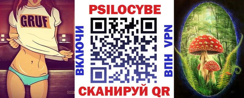 где можно купить наркотик  Ревда  МЕГА ССЫЛКА  Псилоцибиновые грибы Cubensis 